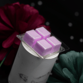 Mini 4-Square Wax Melt Clamshell - Craftovator